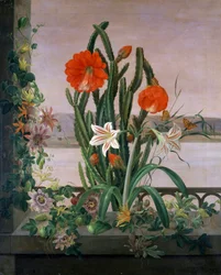 Stillleben mit Kakteen, Lilien und Passionsblumen auf dem Fensterbrett