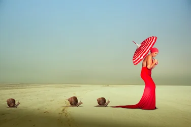 Elegante rote Reise