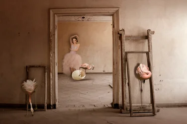 Flamingo-Balletttraum