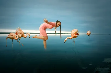Frau unter Flamingos