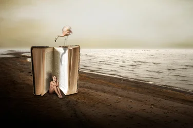 Frau im Riesigen Buch