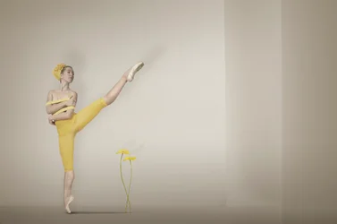 Gelbe Ballerina Anmut