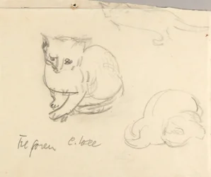 Katzen