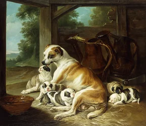 Eine Mutter mit ihren Welpen, 1734
