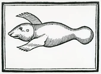 Ein Fisch namens 