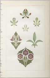 Die Kunst des dekorativen Designs: mit einem Anhang, der die Stunden des Tages angibt, zu denen Blumen öffnen, veröffentlicht von Day & Son, London, 1862