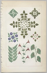 Die Kunst des dekorativen Designs: mit einem Anhang, der die Stunden des Tages angibt, zu denen Blumen öffnen, veröffentlicht von Day & Son, London, 1862