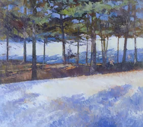 Gefrorener See, New York State