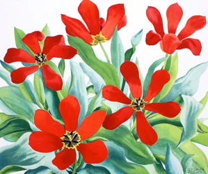 Madame Lefeber Tulpen 2