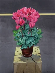 Stillleben Cyclamen