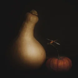 Herbstkürbis und Libelle