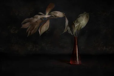 Dunkles botanisches Stillleben
