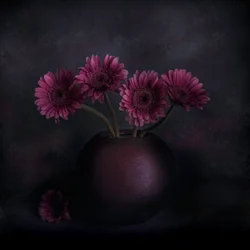 Dunkles Gerbera-Stillleben