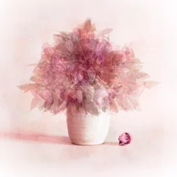 Träumende rosa Blumen