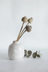 Vase mit getrockneten Mohnkapseln