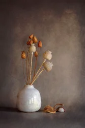 Getrocknetes Mohn-Stillleben