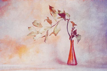 Verblasste Blätter in orangefarbener Vase