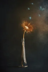 Leuchtende Blumen-Schmetterlinge