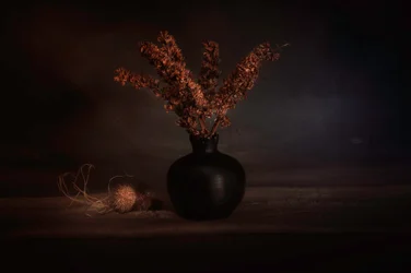 Stimmungsvolle getrocknete Botanicals