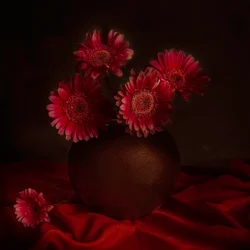 Stimmungsvolles Gerbera-Stillleben