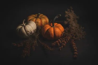 Rustikale Herbstkürbisse