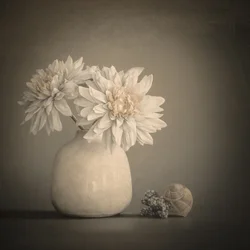 Weiche Blüten und Muscheln
