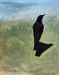 Einsame Vogelsilhouette