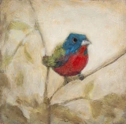 Gemalter Ammer-Vogel