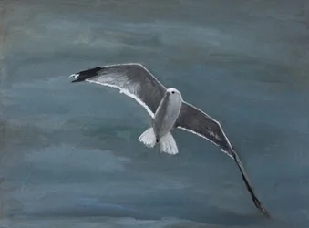 Möwe schwebt über Wasser