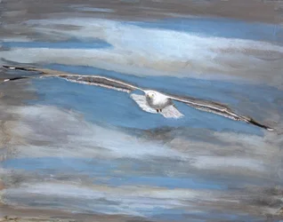 Serener Möwenflug