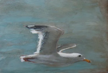 Schwebende Möwe