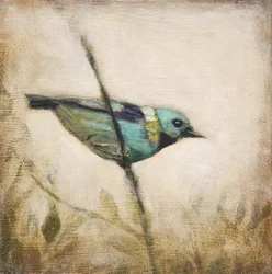 Lebendiger türkisfarbener Vogel