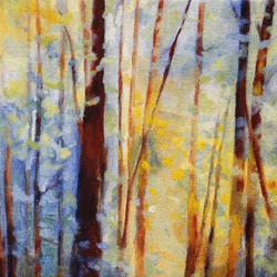 Träumerisches Waldlicht