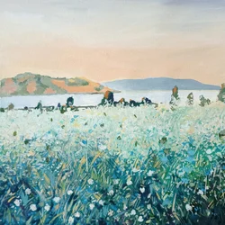Weiße Wildblumen am Wasser