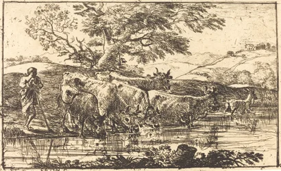 Die Herde am Wasserplatz