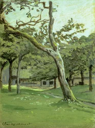 Ein Obstgarten