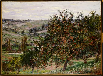 Apfelbäume bei Vétheuil