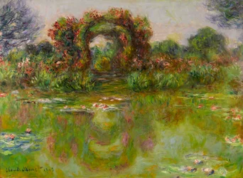 Seerosenteich, die Rosen