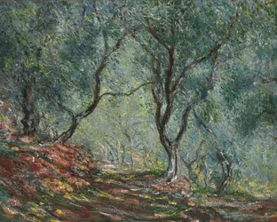 Olivenhain im Garten Moreno, 1884