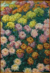 Chrysanthemenbeet, 1897