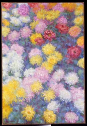 Chrysanthemen, 1897
