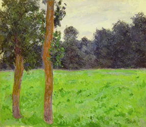 Deux Arbres dans la Prairie, 1886