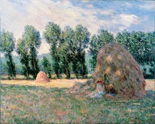 Heuhaufen