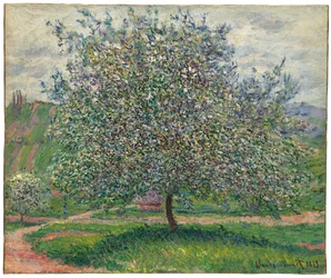 Der Apfelbaum, 1879