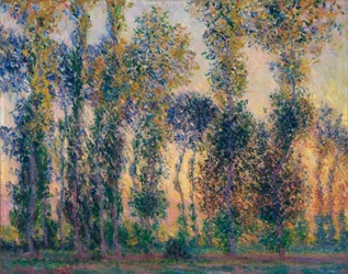 Die Pappeln in Giverny (Frankreich), Sonnenaufgang