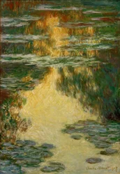 Seerosen