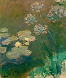 Seerosen und Agapanthus