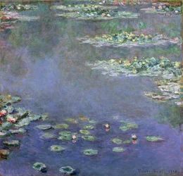 Seerosen
