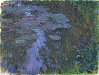 Seerosen