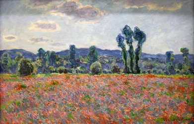 Mohnfeld, 1887